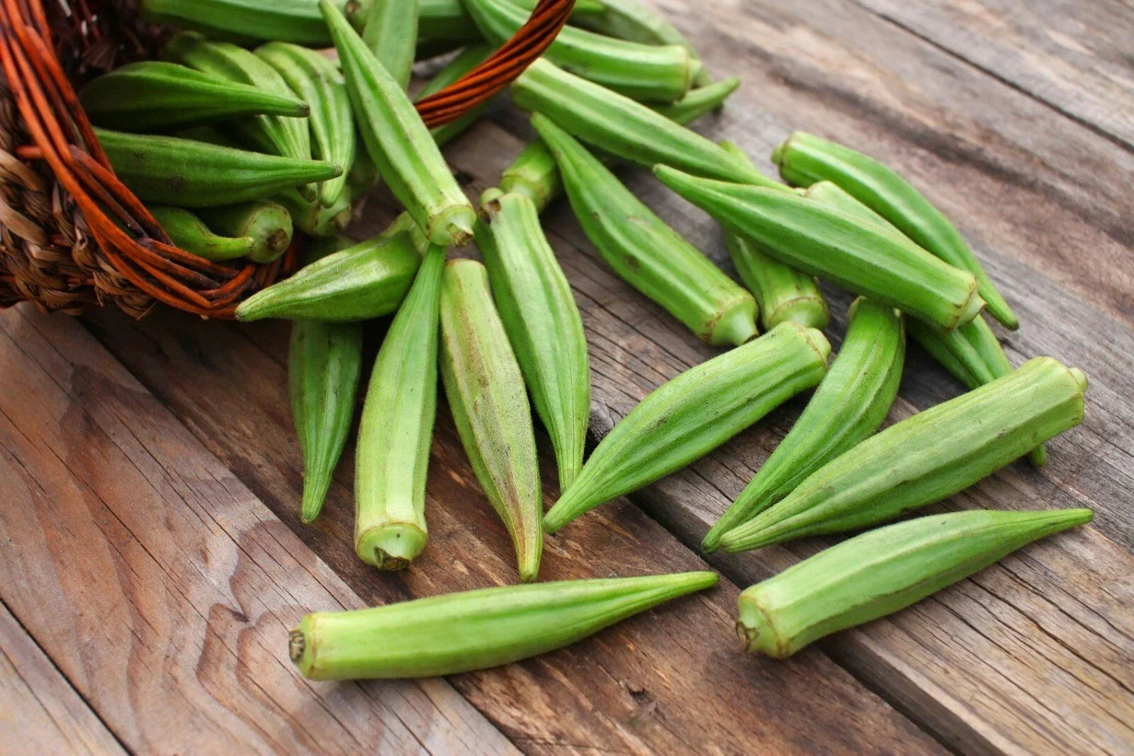 Emerald Okra Seeds - 100+ Heirloom Seeds - Abelmoschus esculentus - Organic Vegetable Gardening