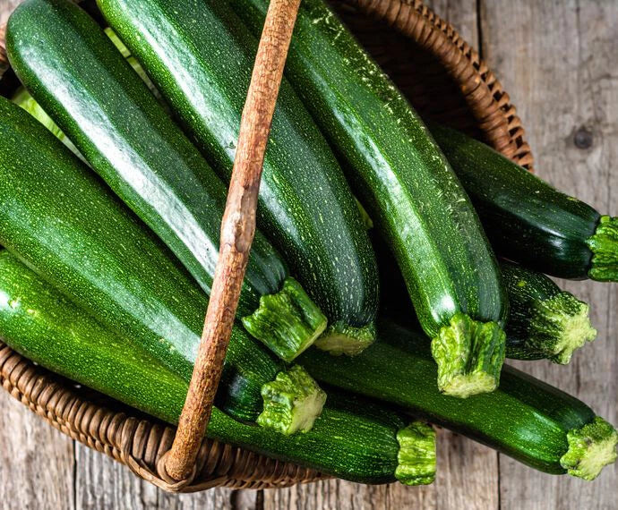 Dark Green Zucchini Squash Seeds - 20+ Italian Courgette Seeds (Zucchino) - High-Quality Vegetable Seeds - USA