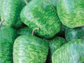 Large Apple Gourd Seeds – Fresh Seeds for Planting – Lagenaria siceraria