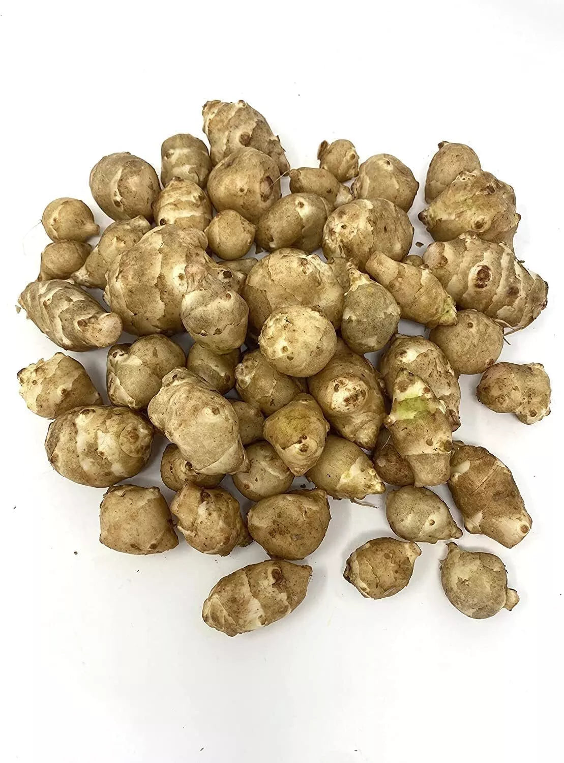 Organic White Sunchoke Tubers for Planting - Helianthus tuberosus - Non-GMO Jerusalem Artichoke