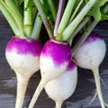 Purple Top White Globe Turnip Seeds - 100+ Seeds - Brassica rapa - Non-California Shipping