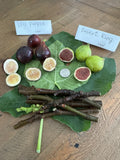 Fig Cuttings - 6 Pack - LSU Purple & Desert King - Ficus carica