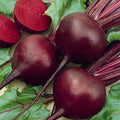 Detroit Dark Red Beet Seeds - 150+ Non-GMO Organic Open Pollinated - Beta vulgaris