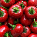 Red Cherry Hot Pepper Seeds - 60+ Non-GMO Heirloom Organic - Pimenta