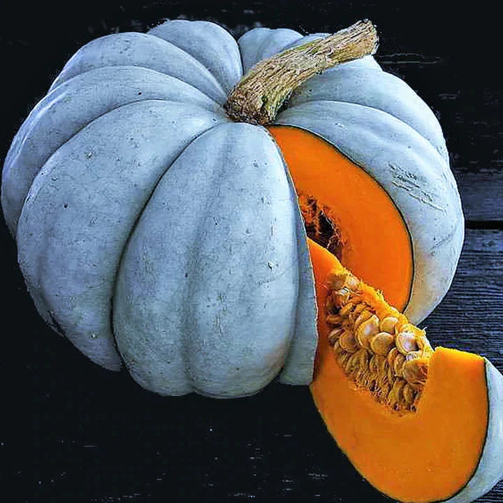 Jarrahdale Blue Pumpkin Seeds - 30+ Count - Winter Squash - Cucurbita maxima