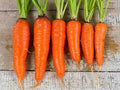 Kuroda Carrot Seeds - Fresh Organic Heirloom Vegetable Seeds - Daucus carota