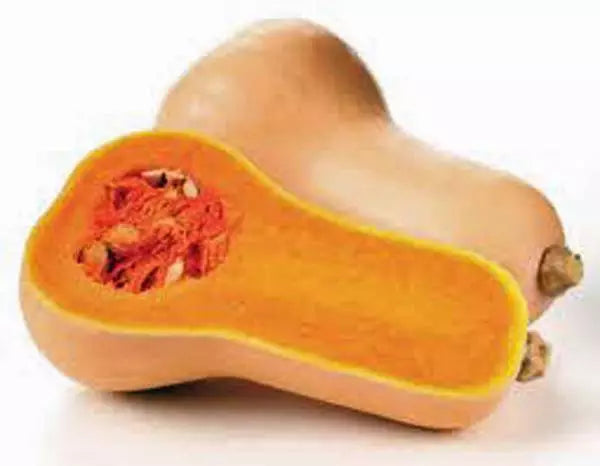 Butternut Squash Seeds - Heirloom Variety, 100 Non-GMO Seeds - Cucurbita moschata