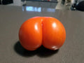 Weird Ass Tomato Seeds - 50+ Heirloom Seeds for Garden Planting - USA Grown - Non-GMO Tomato Varieties