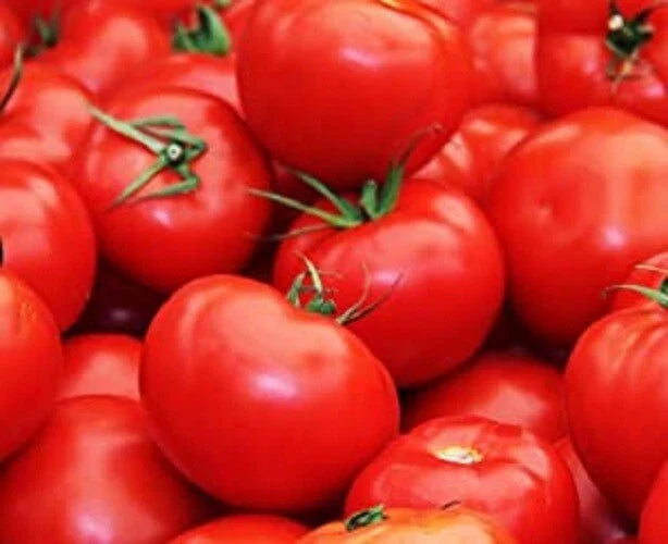Floradade Seeds - 25 Fresh Seeds - Very Heat Resistant - Premium Quality for Gardening - Ideal for Warm Climates