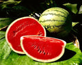 Crimson Sweet Watermelon Seeds - 25+ Non-GMO Heirloom Garden Seeds - Citrullus lanatus