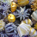 Ten Commandments Gourd Seeds - 40+ Fresh Seeds - Unique Decorative Gourd Variety (Cucurbita pepo)