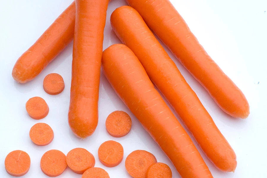 Bolero Carrot Seeds - 1000+ Count - Heirloom Variety - Daucus carota - Perfect for Garden Planting - USA