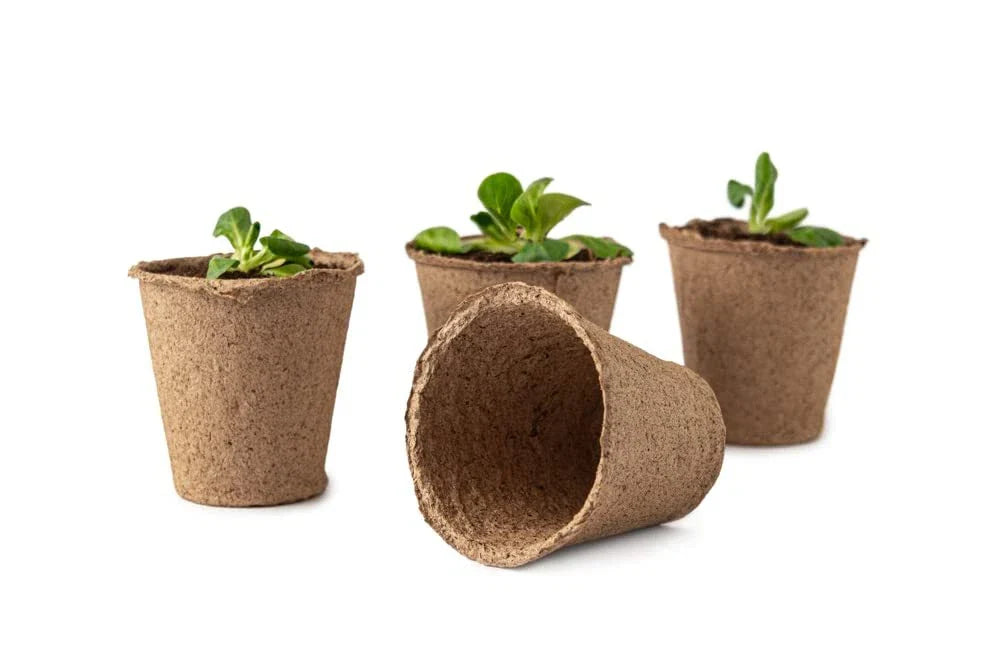 3 Inch Starter Pots - 20 Pack Biodegradable Containers for Herbs, Trees, Vegetables - Eco-Friendly Planting Pots