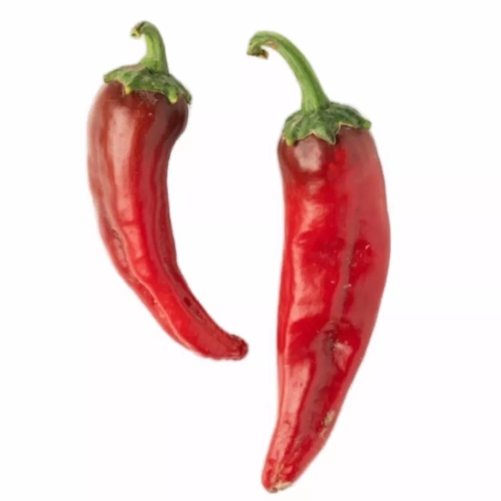 NuMex Joe E Parker Hot Pepper Seeds | Non-GMO Heirloom | Fresh Garden Seeds | Capsicum annuum