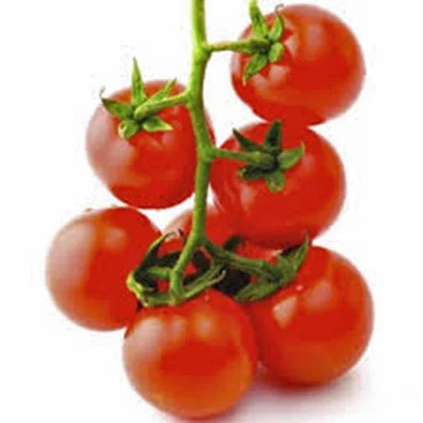 Sweet Large Cherry Tomato Seeds, Heirloom, Non-GMO, 500+ Count, Solanum lycopersicum