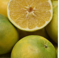 Cocktail Grapefruit Seeds - 5+ Seeds - Max Sweet Juicy Citrus Maxima Pomelo | Pumello