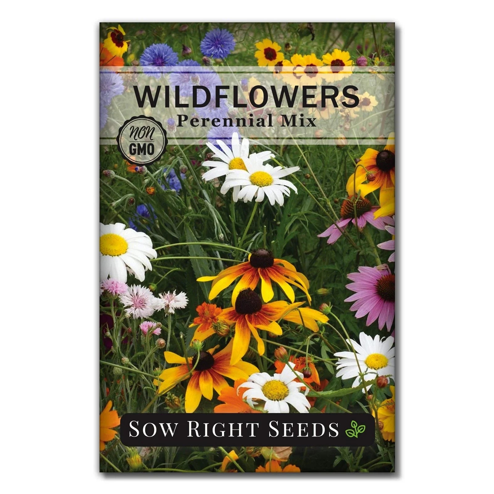 Wildflower Seeds Mix Packet - Non-GMO Heirloom Perennials - Planting Instructions Included - Ideal for Natural Gardens