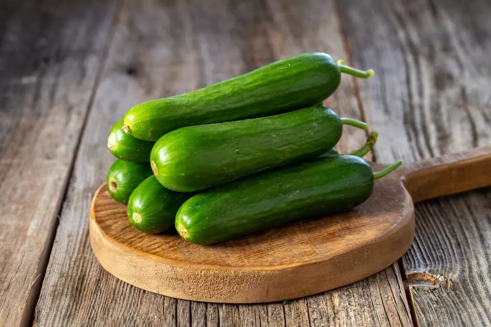 Picolino Mini Cucumber Seeds for Planting (10 Seeds) - Tasty 5-6 Inch Garden Vegetable - Cucumis sativus