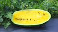 Mountain Sweet Yellow Watermelon Seeds - 50+ Seeds for Planting - Citrullus lanatus - Heirloom Variety - USA