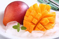 Miyazaki Mango Seeds 3-Pack Fresh Viable Japanese Tropical Mangifera Indica