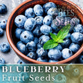 Blueberry Seeds Bulk - Non-GMO Fruit Seeds, 200, 750, or 3,200 Seeds - Vaccinium corymbosum