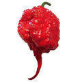 Carolina Reaper F1 Hybrid Pepper Seeds | Non-GMO Heirloom | Hot Pepper Variety | Capsicum chinense
