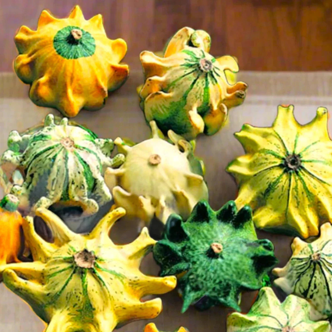 Crown of Thorns Ornamental Gourd Seeds - 10 Decorative Seeds for 2025 Planting - Euphorbia milii