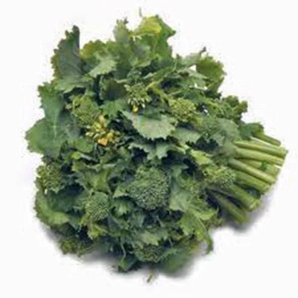 Broccoli Raab Seeds, 25+ Heirloom Seeds, Rapini Variety, Brassica rapa - Delicious Culinary Delight