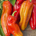 Organic Cubanelle Italian Sweet Frying Pepper Seeds - 50 Pack - Capsicum annuum - USA Grown, Free Shipping