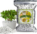 Organic Chunky Perlite for Plants, 1qt, 0.4"-0.8" Diameter, Natural Growing Medium, Soil Aeration, Hydroponics
