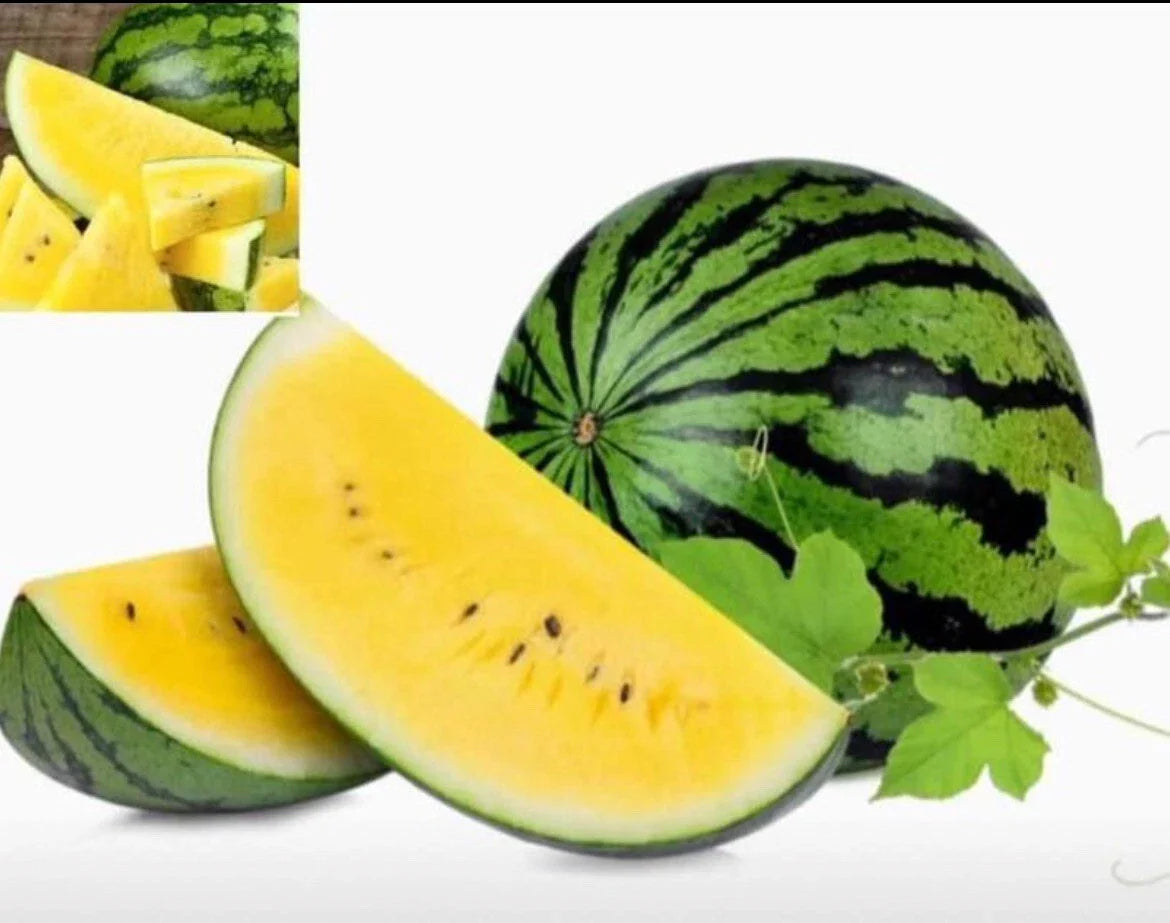 Sweet Petite Yellow Watermelon Seeds - 15+ Heirloom Non-GMO Seeds - Citrullus lanatus - Free Shipping