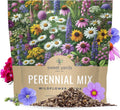 Perennial Wildflower Seeds Mixture - Bulk 1 Ounce Pouch, Multiple Colors, Native Wildflowers for Garden - Various Species