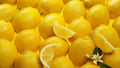 5 Meyer Lemon Tree Scions Cuttings 4-6 Inches Long for Rooting and Grafting - Citrus limon var. meyeri