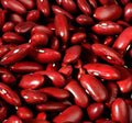 Dark Red Kidney Bush Bean Seeds, Non-GMO, Ideal for Baked Beans and Chili, Phaseolus vulgaris