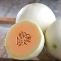 Orange Honeydew Melon Seeds | Heirloom Non-GMO Variety | Cucumis melo 1053
