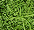 Burpee Stringless Green Bean Seeds, 1/4 LB, Non-GMO, Phaseolus vulgaris, Garden Vegetable Seeds