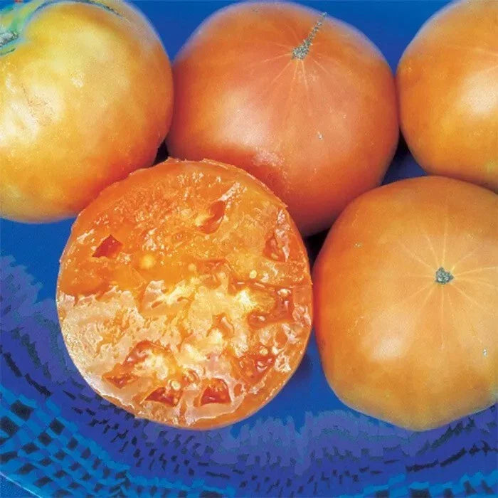 Kellogg's Breakfast Tomato Seeds - 30+ Heirloom Organic Rare Seeds - Solanum lycopersicum