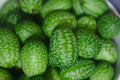 Cucamelon Seeds - 30 Sour Gherkin Seeds - Melothria Scabra - Rare Mini Mouse Melon Variety