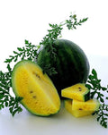 Golden Honey Watermelon Seeds - 10+ Non-GMO Heirloom Seeds - Fresh Quality - Citrullus lanatus