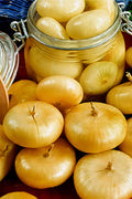 Cipollini Yellow Onion Seeds - 200+ Non-GMO Seeds for Planting - Allium cepa