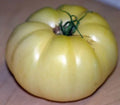 Great White Tomato Seeds - 20 Count - Mild Flavor, Low Acid, Heirloom Variety - Solanum lycopersicum
