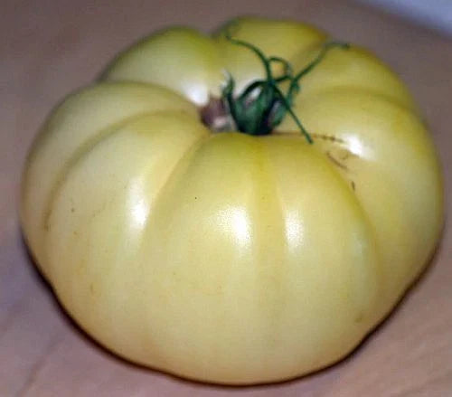 Great White Tomato Seeds - 20 Count - Mild Flavor, Low Acid, Heirloom Variety - Solanum lycopersicum