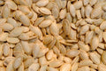 Delicata Squash Seeds for Planting (20 Seeds) - Jester Variety - Cucurbita Pepo
