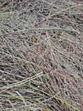 Natural Willow Tree Straw | 100% Organic Mulch & Animal Bedding | Eco-Friendly Plant Material