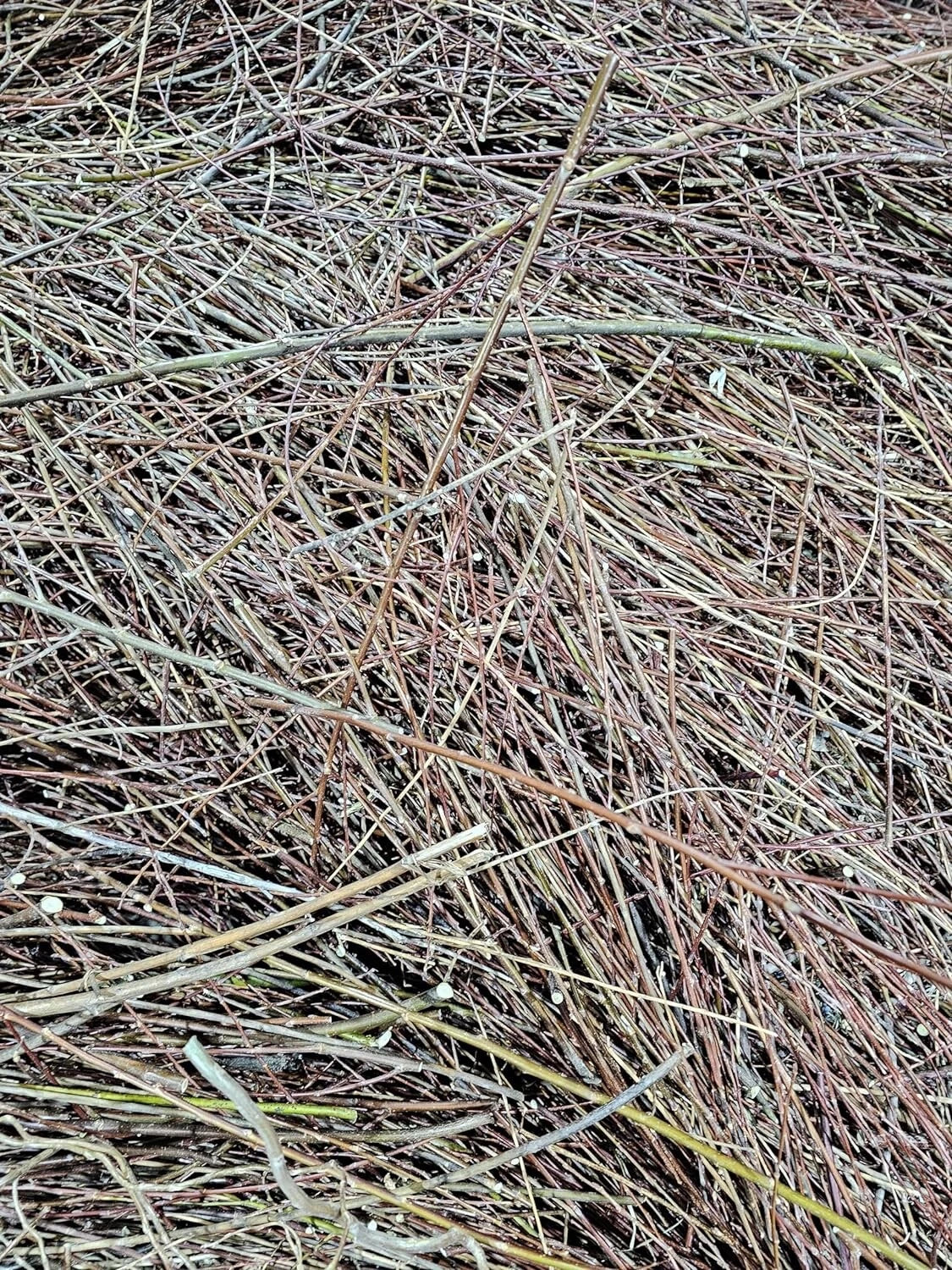 Natural Willow Tree Straw | 100% Organic Mulch & Animal Bedding | Eco-Friendly Plant Material