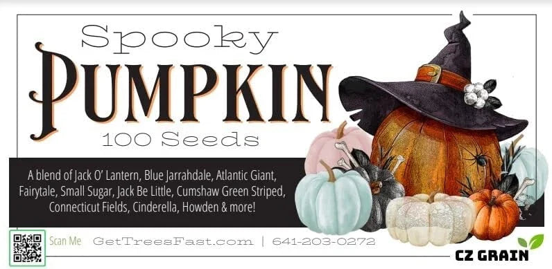 Spooky Blend Pumpkin Seeds - 100 Mixed Seeds for Planting - Halloween Variety, Cucurbita pepo