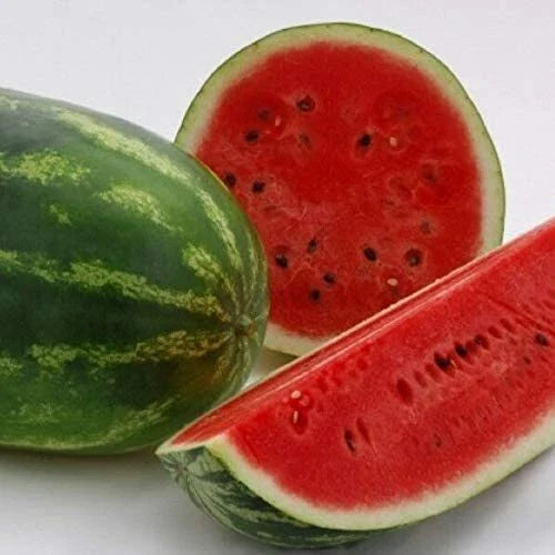 Sweet Watermelon Seeds | Heirloom Non-GMO Variety | Cucumis melo | 1045