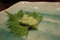 Green Shiso Seeds - Japanese Perilla Herb Seeds - Tracking Included - Perilla frutescens