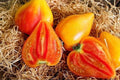Orange Oxheart Tomato Seeds - Heirloom Organic Non-GMO - 120+ Rare Seeds - Solanum lycopersicum