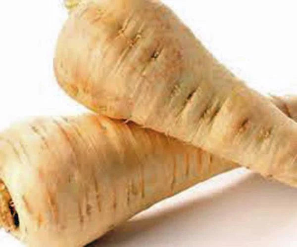 PARSNIP SEEDS, 100 COUNT, ALL AMERICAN HEIRLOOM, NON-GMO, Pastinaca sativa
